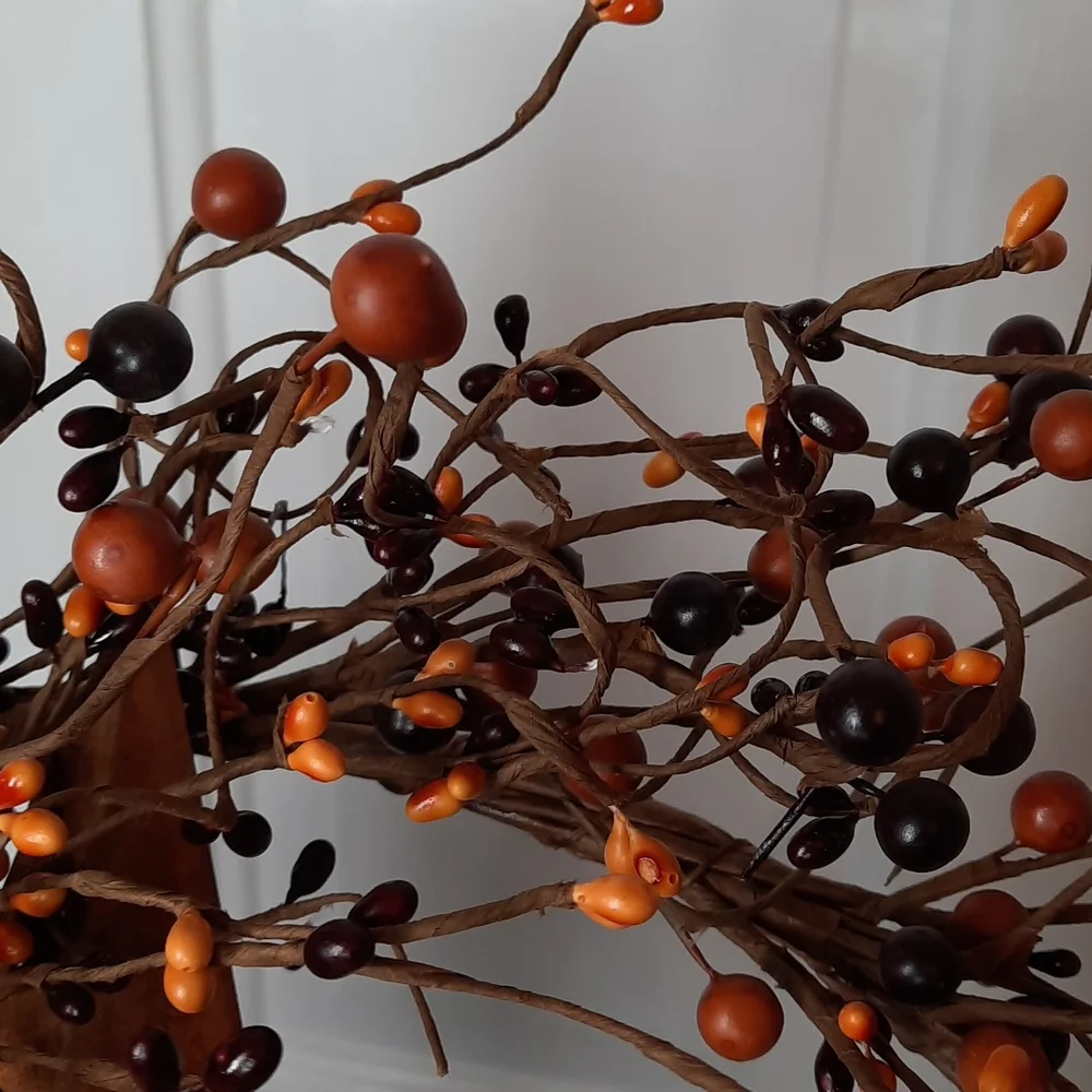 Wreath Rust Metal Star Stars Seed Berry Urban Farmhouse Tan Dark Brown Wall Door